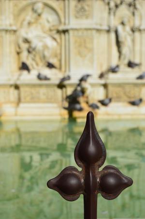 鸽子, 喷泉, 历史, 盖亚的喷泉, 锡耶纳, 意大利