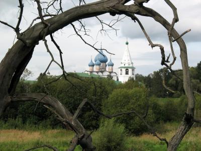 寺, 教会, 俄罗斯, 苏兹达尔, 维拉, 景观, 分公司