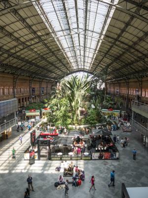 车站, 马德里, 火车, 花园, 空间, 巨大, 手提箱