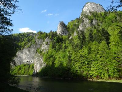 pieniny, 波兰, 自然, 山脉, 水, 岩石