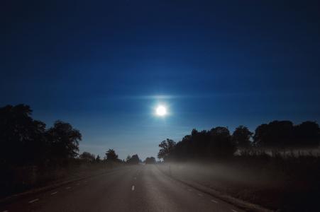满月, 云计算, 汉密尔, 晚上, 道路, 森林, 树