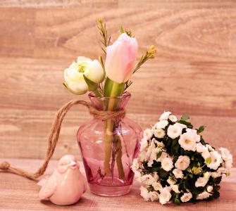 郁金香, 毛茛, 鸟, 花瓶, 花, 花瓶, 春天的花朵