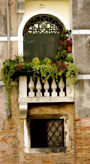 窗口, 威尼斯人, 花