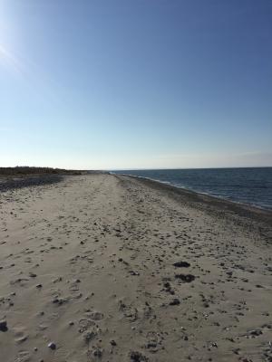 海滩, 海, 沙子, 波罗地海, 石头