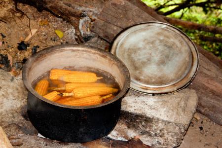 玉米棒, 蒸煮锅, 篝火, 开水, 玉米, 蔬菜, 食品