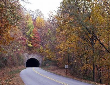 隧道, 叶子, 秋天, 秋天, blue ridge 大道, 树木, 赛季