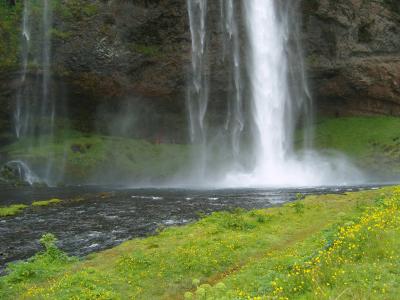 冰岛, 瀑布, 绿色, 水, 如诗如画, 自然, 自然之力