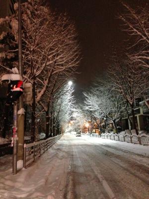 冬天, 晚上, 雪, 街道, 低温, 路灯, 城市场景