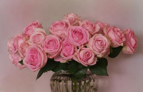 束玫瑰花, 玫瑰, 蔷薇科, 蔷薇科, 花, 花, 玫瑰-花