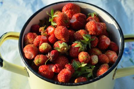 草莓, 浆果, 夏季, 美味, 红色, 特写, 太阳