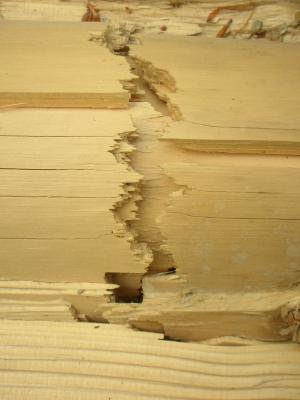 木材, 裂纹, 浅棕色, 骨折