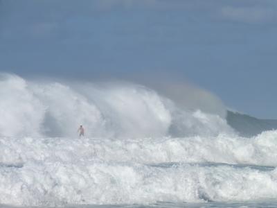 夏威夷, 网上冲浪, 海, 太平洋, 海洋, 冲浪者, 冲浪板