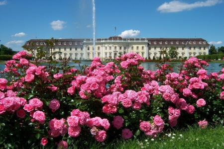 玫瑰, 公园, 喷泉, 花, 宫, 建筑, 春天