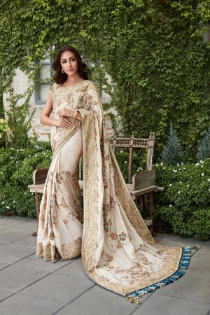 买在印度纱丽服在线, 买在线纱丽服, banarasi 纱丽在线在印度, 一方穿纱丽服, 婚礼纱丽服, 时髦的纱丽服, 全长