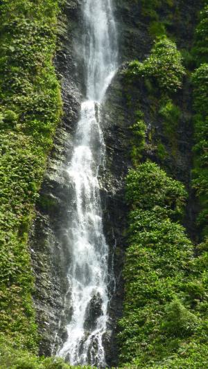 瀑布, 山, 景观, 森林, 流量, 山脉, 亚速尔群岛