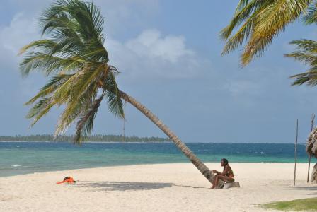 棕榈树, 海滩, 妇女, 海, 自然, 蓝色的水, 哥斯达黎加