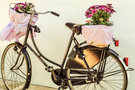 自行车, 花, 购物篮, 自行车, 年份, 复古, 春天