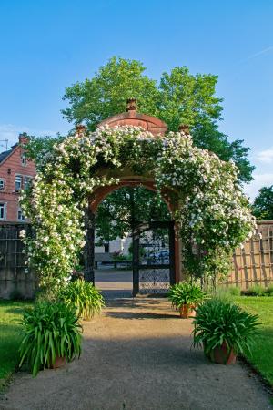 王子 georgs 花园, 达姆施塔特, 黑森, 德国, 玫瑰, 玫瑰拱门, 输入
