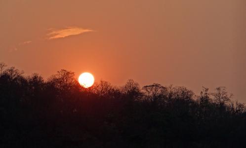 日落, 发光, 森林, tattihallia, 卡纳塔克, 印度