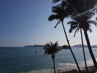 棕榈树, 蓝色, 海, 放松, 海滩, 天空, 景观