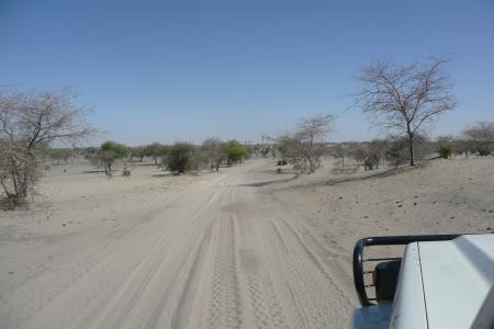 跟踪, 非洲, 沙子, 沙漠, 萨赫勒, 4 x 4, 布什