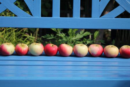 水果, 苹果, 弗里施, 健康, 花园, 红红的苹果, 夏季