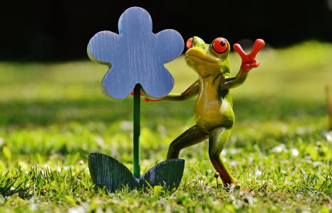 青蛙, 花, 有趣, 甜, 可爱, 亲情, 礼物