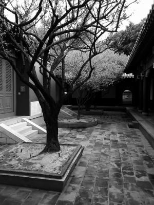 黑色和白色, 树木, 台湾, 历史遗迹, 寺, 理由, 中国风