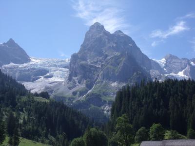 山脉, 冰川, 瑞士