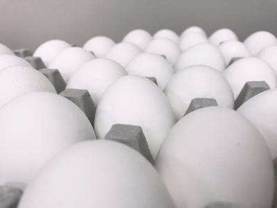 鸡蛋, 宏观, 白色, 灰色, 复活节, 鸡, 自然