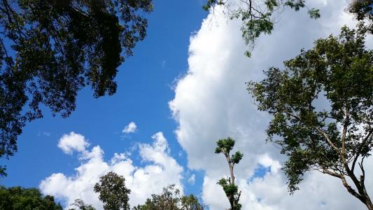 天空, 自然, 云计算, 白色, 天堂, 蓝蓝的天空, 木材