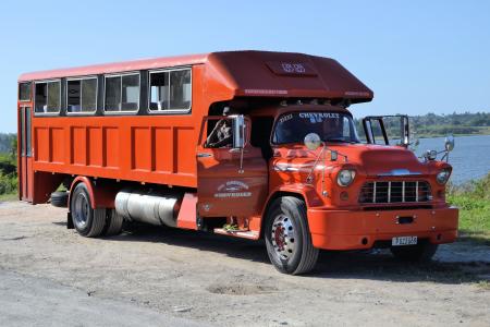 古巴, 自动, 而作, 卡车, 客运, 红色, 车辆