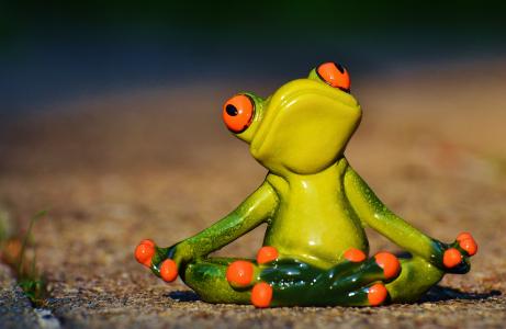 瑜伽, 青蛙, 放松, 图, 有趣, 休息, 弛豫