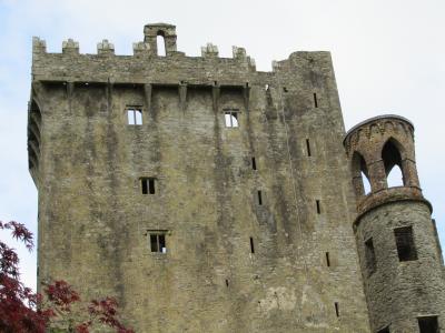 布拉尼城堡, 爱尔兰, 城堡, 废墟, 中世纪, 中世纪