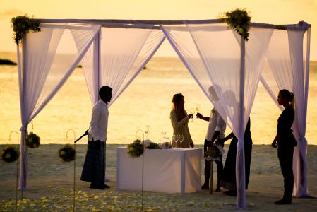 海滩, 海滩婚礼, 新娘, 庆祝活动, 仪式, 夫妇, 黎明