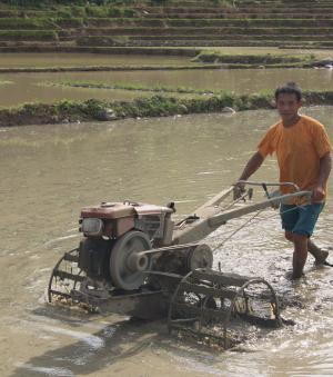 农民, 老挝, 农业, 工作, 农场