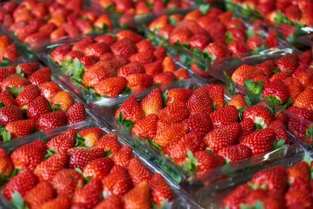 草莓, 水果, 新鲜, 美丽, 红色, 星期日, 花园