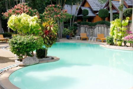水, 反思, 游泳池, 假日, 游泳, 棕榈树, 酒店