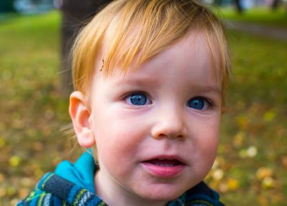 儿童, 肖像, 蓝色的眼睛, 可爱, 金发女郎, bot, 公园