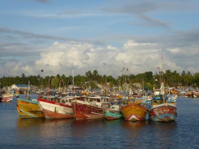 小船, 渔船, 斯里兰卡, 端口, 多彩