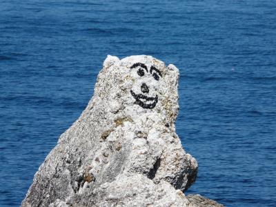 艺术, 岩石, 幽默, 爱尔兰, 熊, 海边, 海