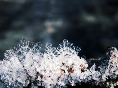 晶体, 冰, 雪, 冬天, 弗罗斯特, 叶子