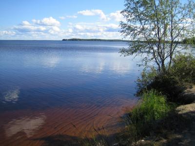 湖, 夏季, 芬兰语, 暑假, 景观, 水, 自然写真
