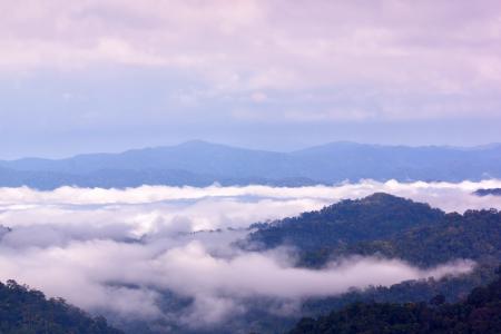 雾, 山脉, 海雾, 全国射精, 泰国, 观点, 向上