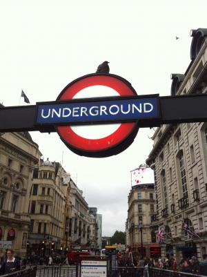 伦敦, 英格兰, 地铁, 鸽子, 旅行, 大城市, 地下