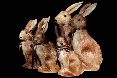 复活节, 复活节兔子, 巧克力兔子, 图, 图形, 动物