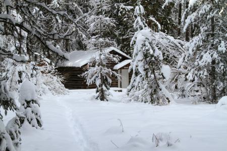 雪, 冬天, 小木屋, 感冒, 森林, 树木, 景观
