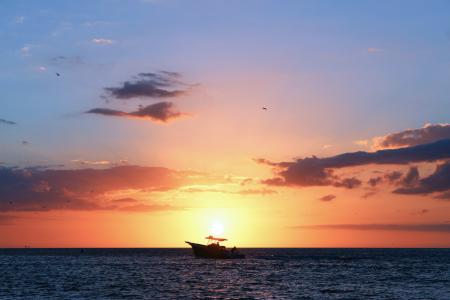 日落, 水, 墨西哥海湾, 小船, 热带, 海滩日落, 景观