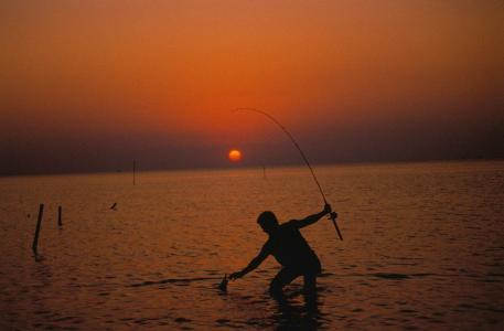 渔夫, 日落, 捕鱼, 水, 剪影, 杆, 鱼