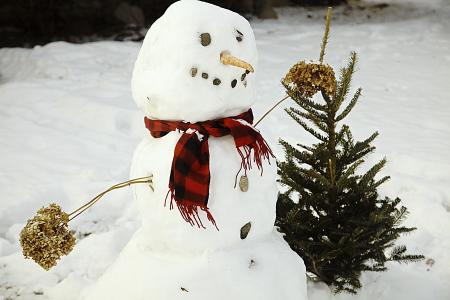 雪人, 雪, 白色, 冬天, 圣诞节, 感冒, 弗罗斯特
